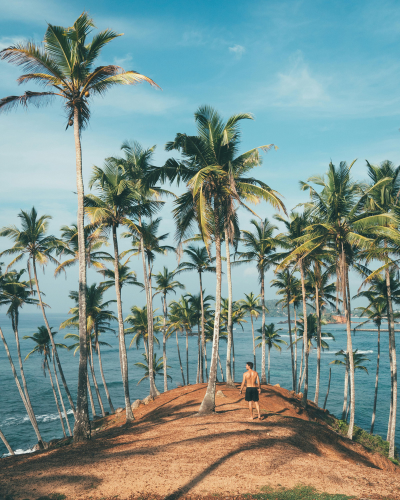 Mirissa Beach | NexRoaming