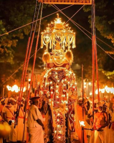 Sri Dalada Perahara | Sri Lanka | NexRoaming
